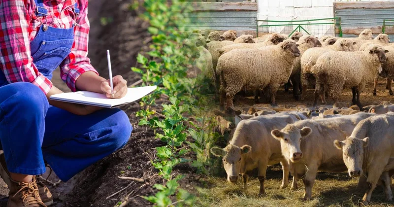 760 жеке қосалқы шаруашылық санаққа қатысудан бас тартқан