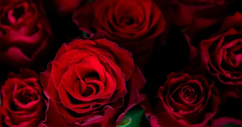 Пожарный сделал романтичное предложение своей возлюбленной в Костанае (ВИДЕО)