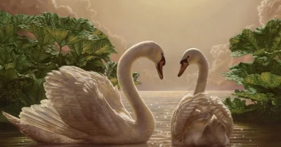 Аққу әйгілеген ақиқат