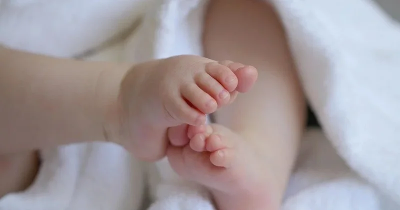 Қажымұқанның ауылында тағы бір алып бала дүниеге келді