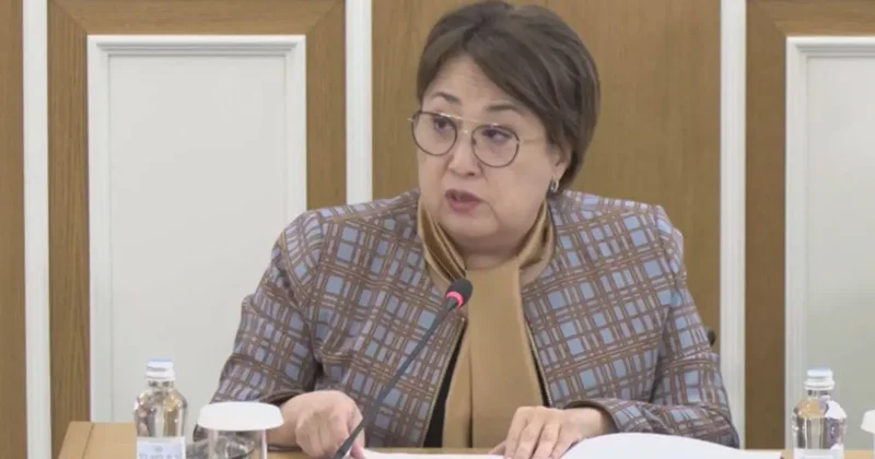 Сенатор предложила адаптировать текст новой Конституции под формат Брайля