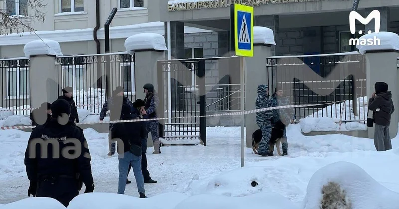 Нападение с ножом в общежитии медуниверситета в России: ранены студенты и полицейские