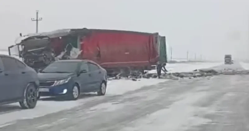 Солтүстік Қазақстанда екі жүк көлігі соқтығысып, бір жүргізуші қаза тапты
