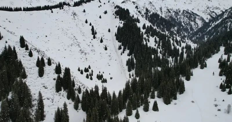 Самопроизвольные сходы лавин фиксируют в горах Алматы