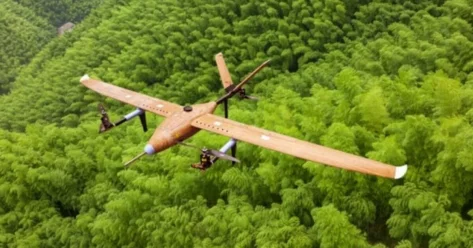 Первый в мире беспилотник из бамбука создали в Китае