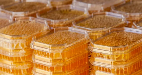 Мед со вкусом шоколада создали в Бразилии