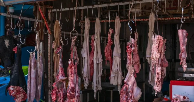 Более 700 подозрительного мяса уничтожили в Астане (ВИДЕО)