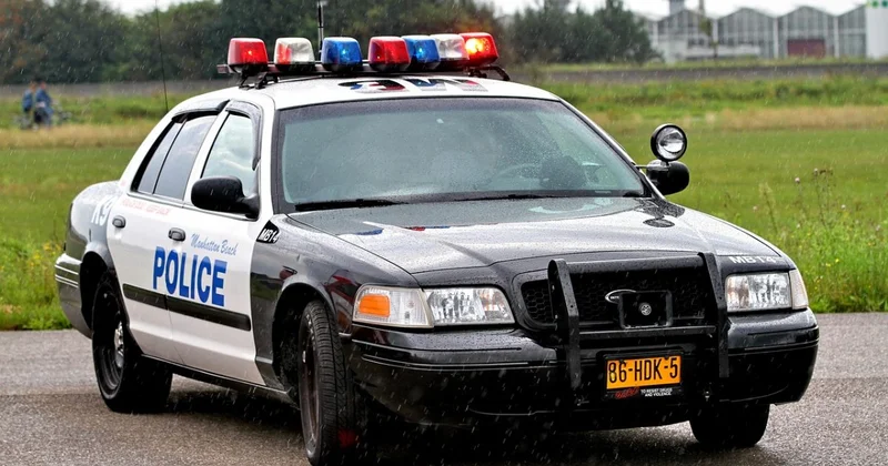 Два чемодана с телами детей нашли в США