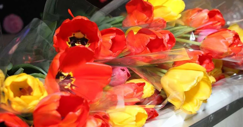 Признание научных достижений