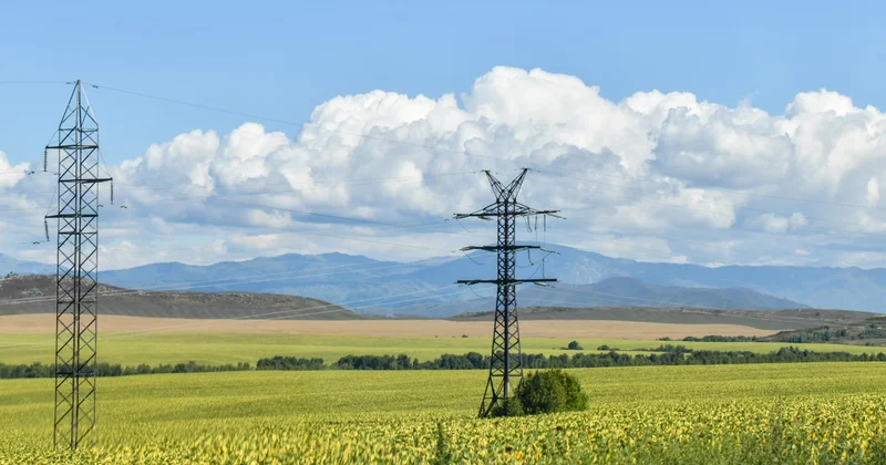 Импорттан арылу мүмкіндігі