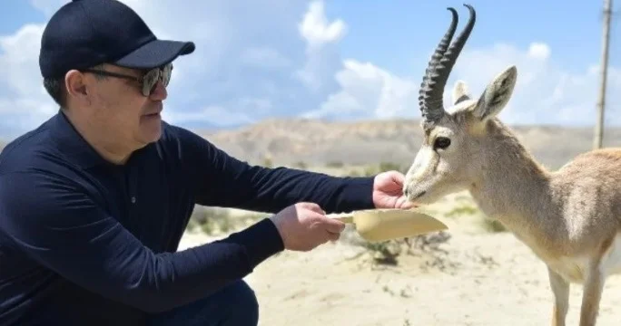 Қырғызстанда жабайы жануарларды ұстау және өсіру қағидалары бекітілді