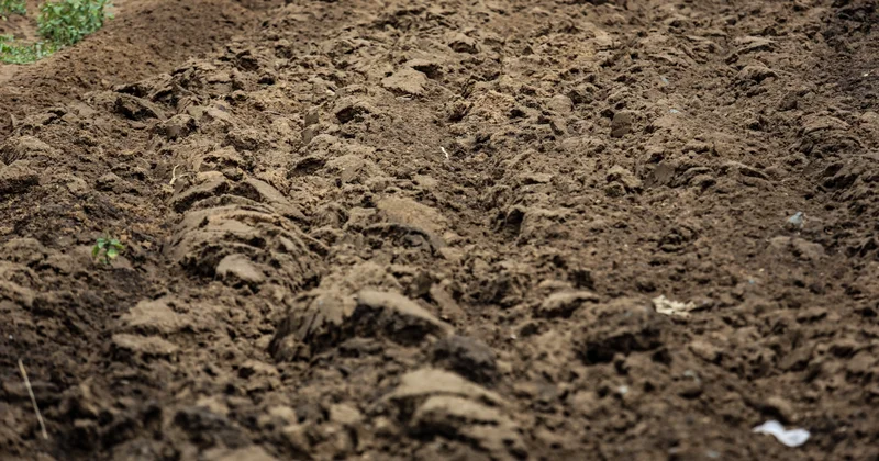 Неиспользуемые земли вернули в госсобственность в СКО