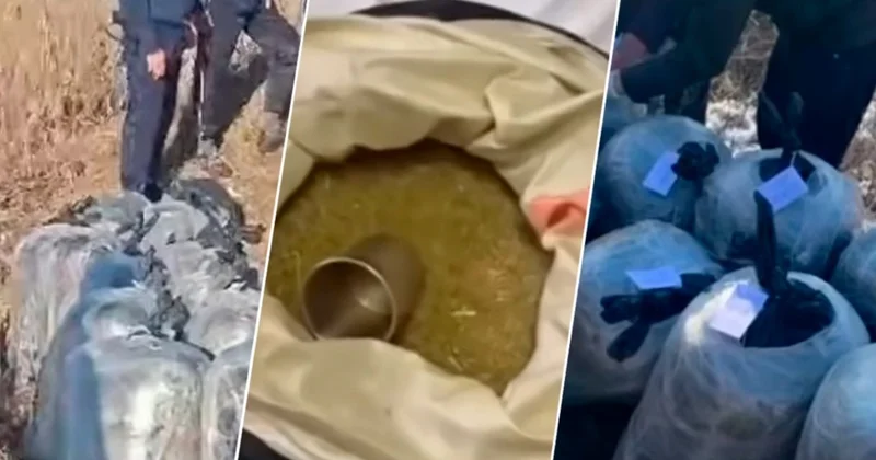 Павлодарда ірі есірткі тарату арнасының жолы кесілді