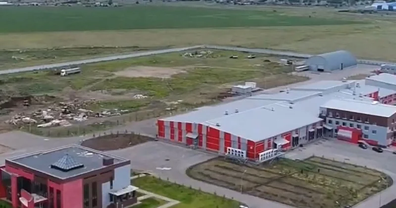 30 человек на скамье подсудимых: приговор по делу мясной ОПГ вынесли в Костанае