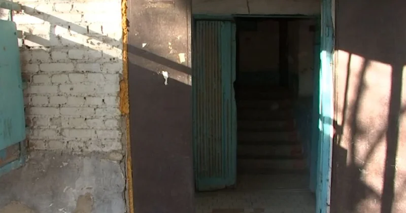 С тараканами и крысами : жители нового города Алатау пожаловались на выданное акиматом жилье