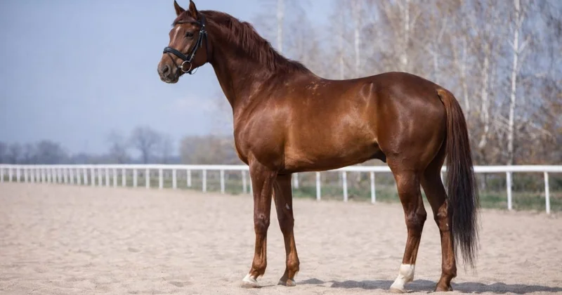 Патрон ломает стереотипы