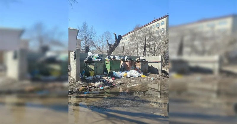 Медицинские отходы и справки пациентов нашли на помойке в центре Усть Каменогорска