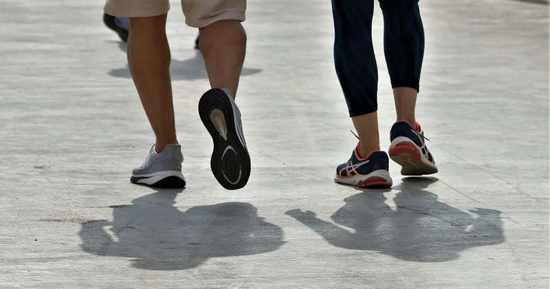 ЗОЖ путевка в будущее