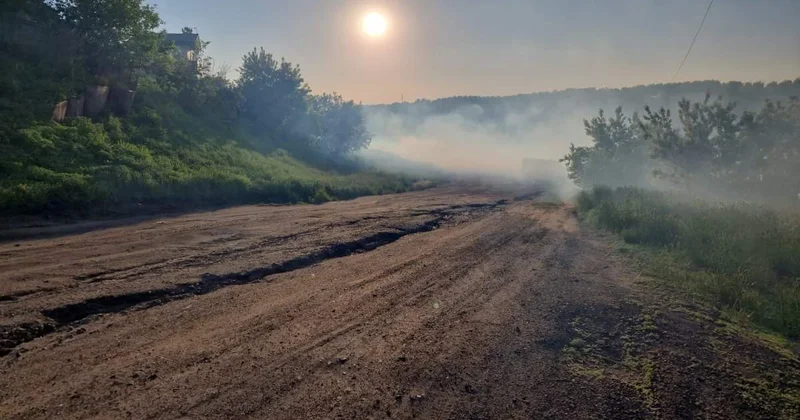 Павлодардың ауылдық жерлерінде шыбын шіркейді улау жұмыстары басталды