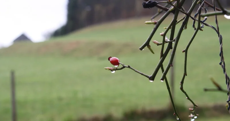 Жара сменится дождями и грозами в Алматы