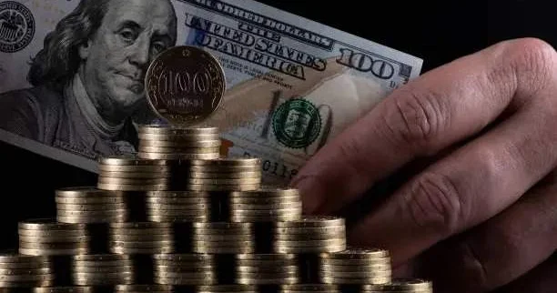 Алматыда қаржы пирамидасын ұйымдастырушылар елді бейнеролик көру арқылы пайда табасың деп алдаған