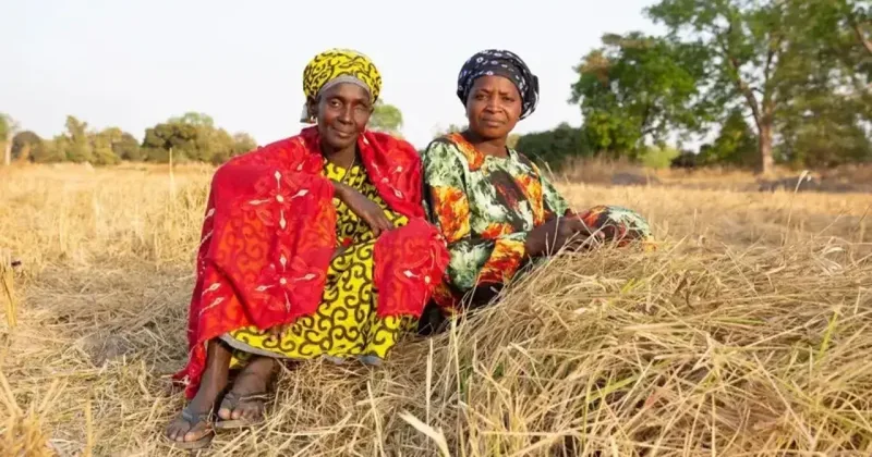 Соль наступает. Почему питьевая вода по всему миру становится непригодной и можно ли с этим бороться?