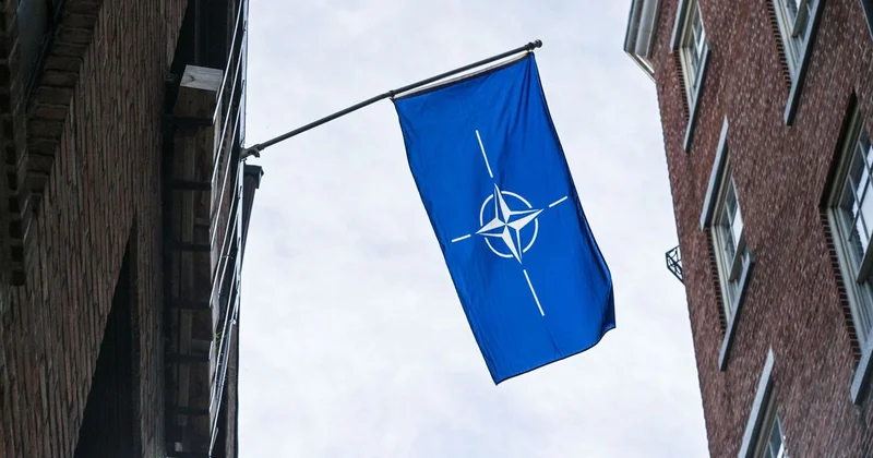 Пока пока : Трамп рассказал, с чего начался раскол между США и НАТО