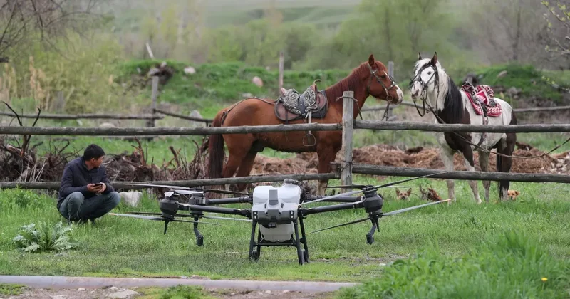 Сельское хозяйство сегодня это тихая трагедия . Эксперт о том, что происходит с казахстанским АПК