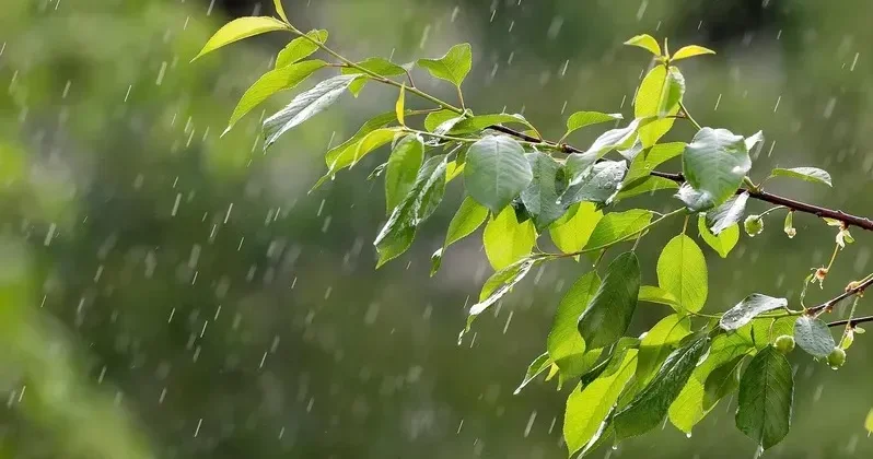 Жұмада еліміздің барлық дерлік өңірінде дауылды ескерту жарияланды