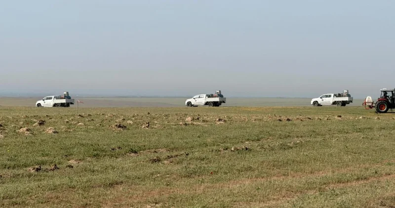 Алқаптардағы айқас : 9 ауданда жалпы 275 мың гектар өңделді