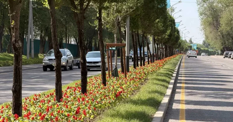 После жары в Алматы вернутся дожди и грозы