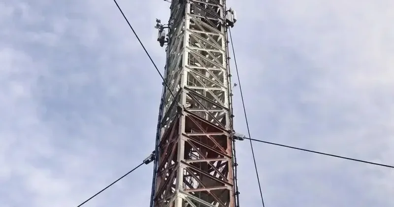 ШҚО да телемұнараға шығып алған балалар өздігінен түсе алмай, құтқарушы мен полицейді әбден әбігерге салды