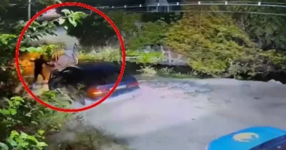 В Жамбылской области полиция устроила погоню за пьяным водителем