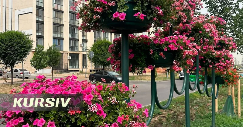 На что потратили Бюджет народного участия в Алматы?