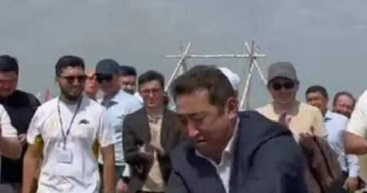 Истина в бревне!