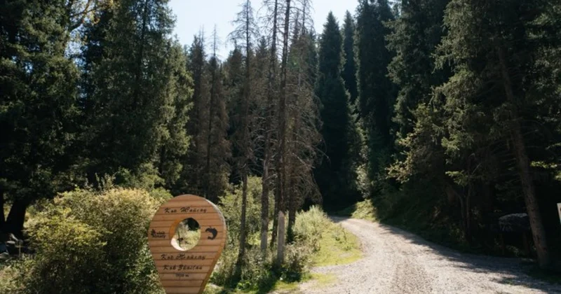 Almaty SuperSki жобасының операторы курорт құрылысы аймағындағы Қызыл кітапқа енген өсімдіктерге қатысты мәлімдеме жасады