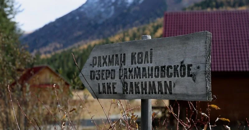 По дизайну встречают