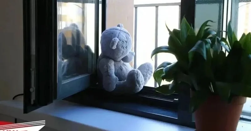 Заставлял есть мясо животных: приемного отца направили на лечение в Шымкенте