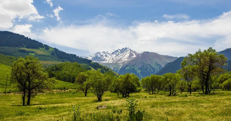 2025 год может войти в тройку самых теплых в истории