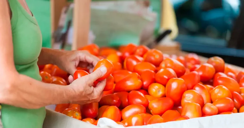 Ещё одна точка: где в Алматы пройдут ярмарки выходного дня