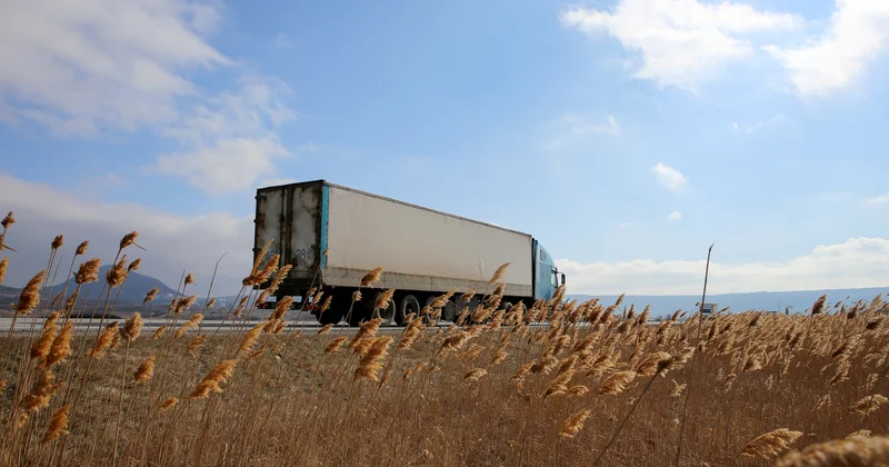Беларусь Литвада тіркелген жүк көліктерін ел аумағынан шығарудан бас тартты