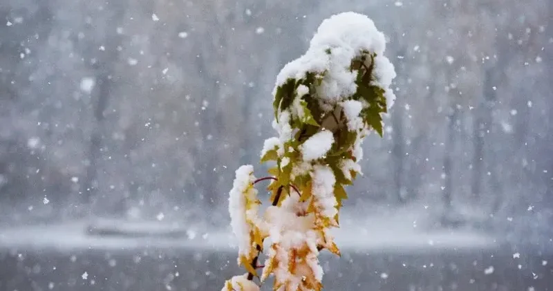 Қазақстанда күн райы күрт бұзылып, қар жауады, көктайғақ болады деп болжанады