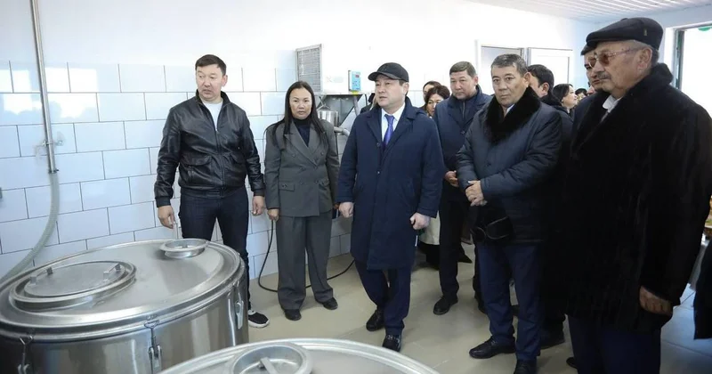 Нурдаулет Килыбай ознакомился с работой первого в Казахстане автоматизированного цеха по доению верблюдов