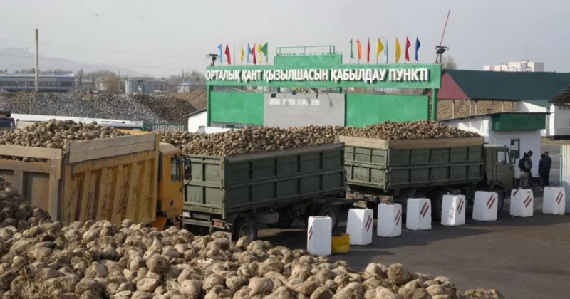 Аймақтың агроиндустриялық тірегі