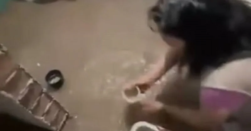 Как в хоррор квестах : жители многоэтажки в Астане показали свои затопленные квартиры (видео)