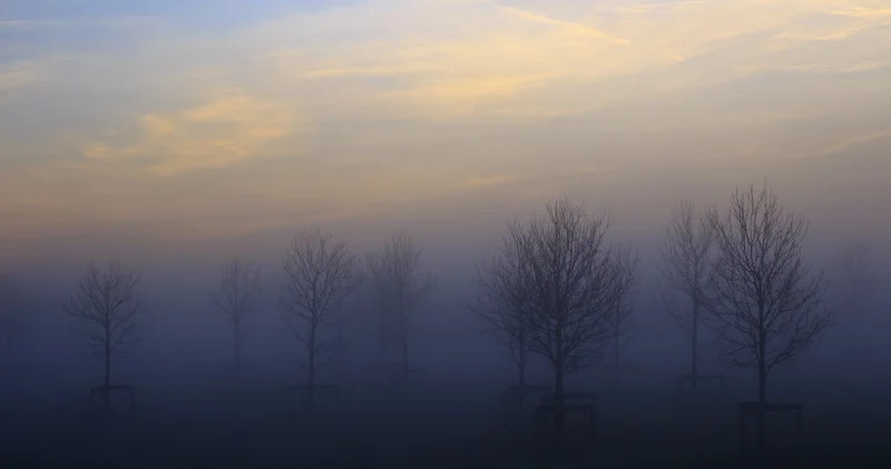 Тұман, көктайғақ, жауын шашын: 14 аймақта ескерту жарияланды