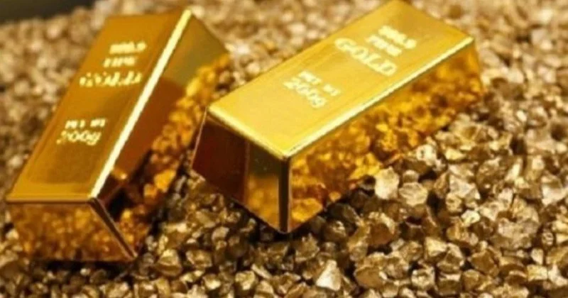 Франция тұрғыны үйіндегі бақтан құны 700 мың еуро болатын қазына тауып алды