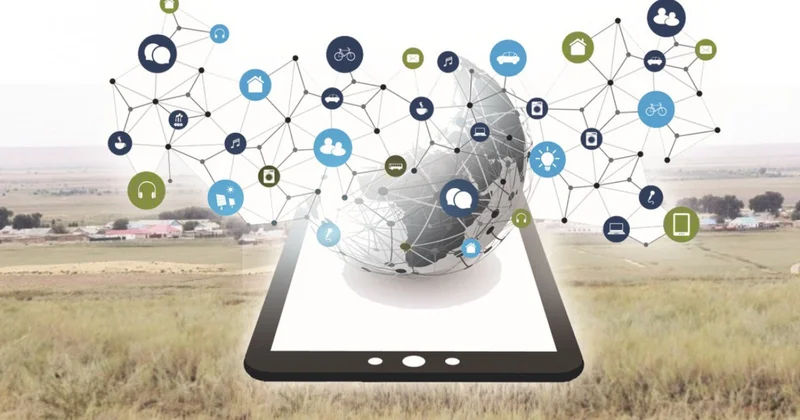 Сапалы интернет игілігі