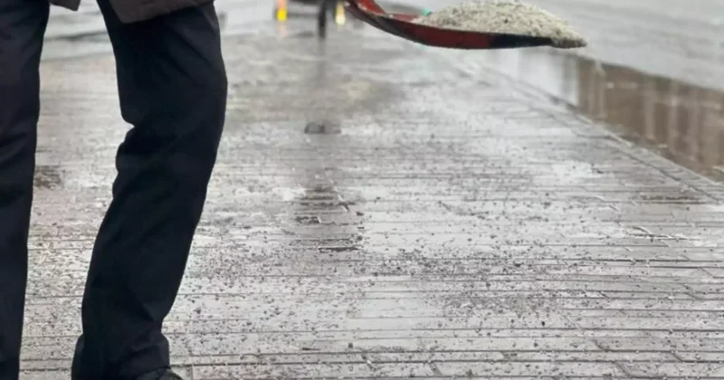 Ас тұзын көктайғаққа қарсы қолдануға тыйым салынады