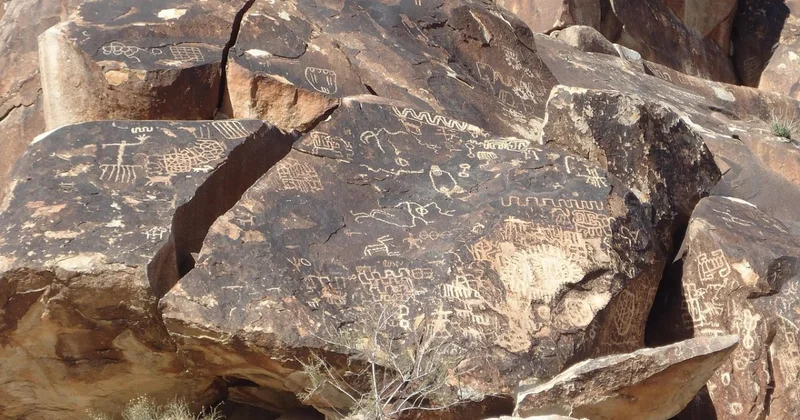 Уникальные следы динозавров обнаружены на скалах Китая